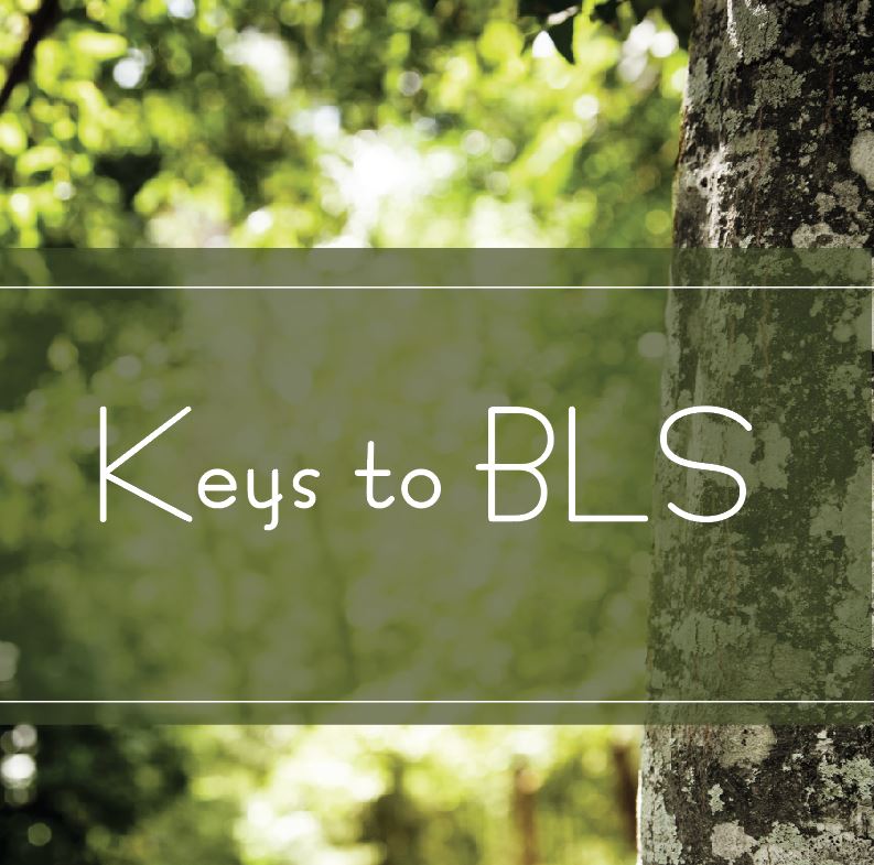 Keys to BLS Keys to BLS